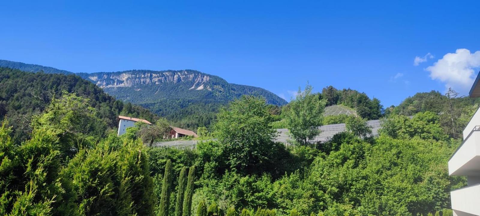 Janas Bolzano Mountain Apartment Тезимо Экстерьер фото